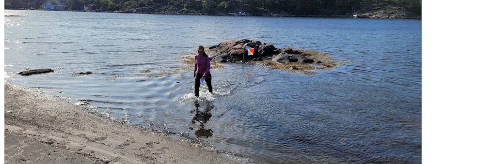 Mira Mare Orienteringskarusell